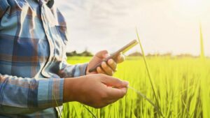 Conectividade no campo