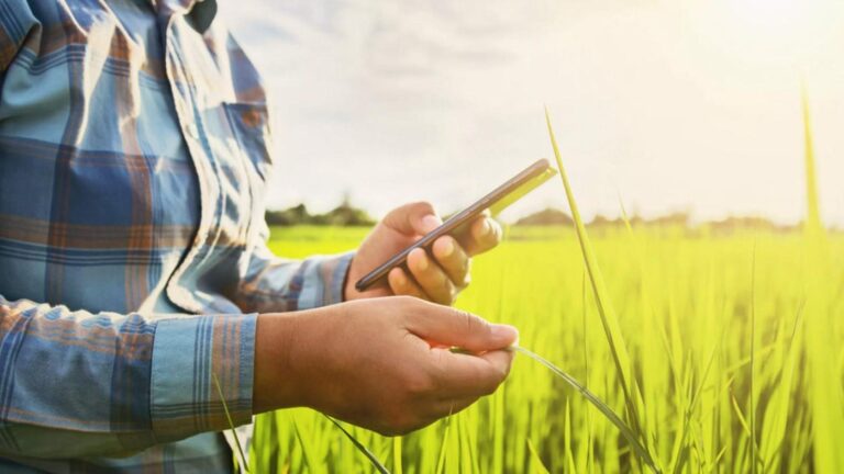 Conectividade no campo: como o rádio certo pode revolucionar o agronegócio