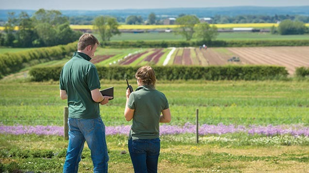 Duas pessoas em campo agrícola operando rádio comunicador portátil para coordenação de logística no agronegócio.